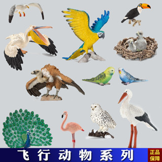 現貨出口正版全新散貨模擬動物模型套裝玩具飛禽鳥類老鷹鸚鵡鴞孔雀