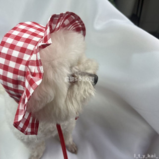 臺灣出貨🐶貓咪小狗純棉帽子 小貓寵物夏季薄款公主糖果帽 可愛遮陽防曬 寵物防曬帽 寵物穿搭配飾 貓狗帽子