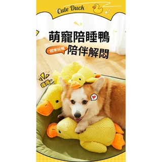 熱賣特售✈啊狗狗玩具 寵物玩具 寵物發聲玩具 狗狗磨牙玩具 發聲玩具 陪睡玩具 解悶玩具