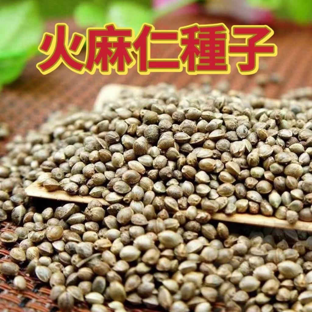 現貨速發 【火麻仁種子】💥正宗火麻仁 中藥材火麻子  通腸潤便 火麻仁 火麻仁茶 火麻籽四季常青