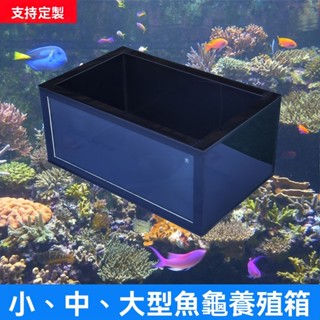 客製化 大型養殖水箱 魚池 養魚池 養殖池 黑色烏龜錦鯉金魚缸池 大中小型長方形玻璃客廳桌面家用