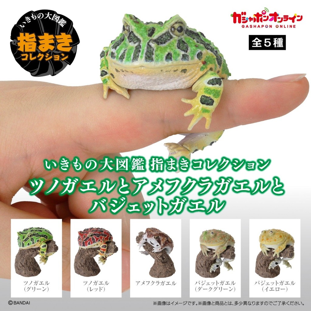 現貨 日本 BANDAI 萬代 指尖生物 角蛙 饅頭蛙 小丑蛙扭蛋 公仔 青蛙 青蛙扭蛋 角蛙 動物模型 富士通販