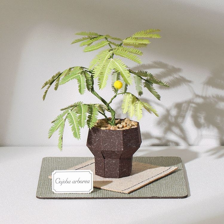 紙風景紙植栽雷射材料包/ 小豆樹 eslite誠品