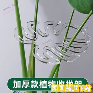🌈精品熱賣✨【店鋪熱銷】龜背竹支撐桿花支撐架枝幹收攏架植物防倒伏支架綠植固定神器花架98