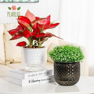 PEARL01水耕植物盆,自動澆水塑膠花盆,可拆卸的迷你多肉植物花盆桌面花瓶