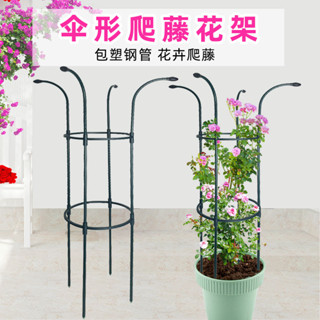【 臺灣出貨】 園藝爬藤月季花架 傘型支撐架 插接式蓮花攀爬多層固定植物盆栽花園
