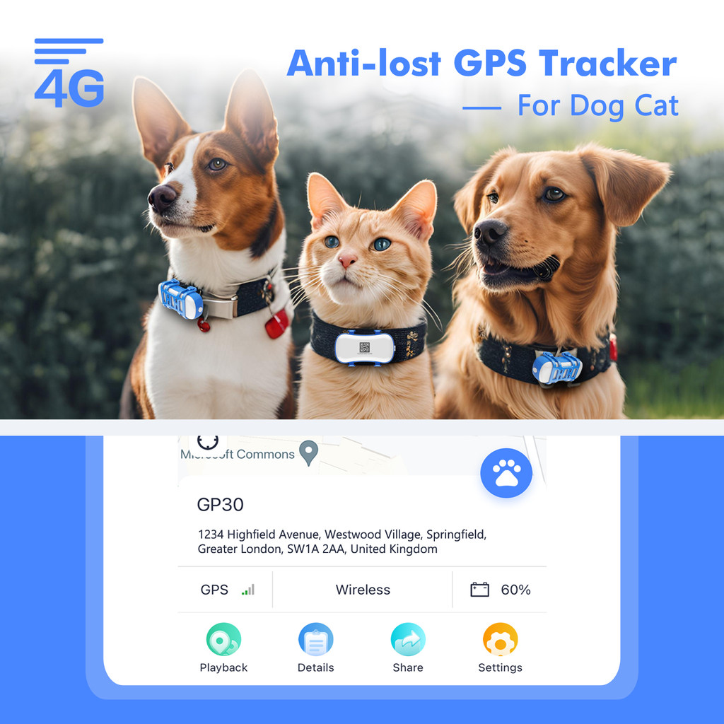 ‌用於寵物的 4G 狗貓 GPS 追踪器 - 帶應用程序、實時追踪和燈光/聲音搜索的防水智能定位器,包括免費試用
