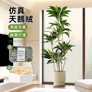 【天鵝絨模擬綠植 宅配免運】高階模擬綠植 人造樹盆栽 人造植物 假植物 輕奢客廳裝飾樹 客廳大型假綠植 盆栽擺件TFH