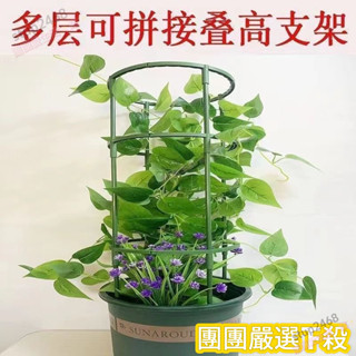 🌈精品熱賣✨植物支架 植物支撐 植物支撐桿 盆栽支撐架 盆栽支架 爬藤支架 花盆支架 蘭花支架 園藝支架 種植蝴蝶蘭