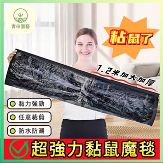 超強力黏鼠板粘 1.2米滅鼠魔毯 粘鼠貼 滅鼠 黏鼠闆 捕老鼠 老鼠闆 抓老鼠 家用捕鼠神器 強力黏膠 滅鼠魔毯 黏鼠板