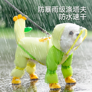 臺灣出貨#狗狗雨衣寵物夏季小狗衣服泰迪比熊小型犬狗狗全包裹防水牽引雨衣