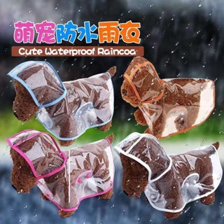 寵物用品狗狗雨衣泰迪中小型犬透明防水塑膠時尚雨披寵物雨衣寵物用品狗雨衣泰迪中小型犬透明20250429