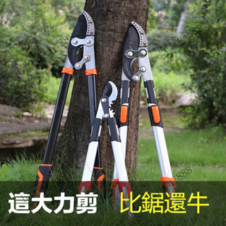 粗枝剪大力剪伸縮果樹修枝剪加長SK5園林剪刀強力樹枝剪