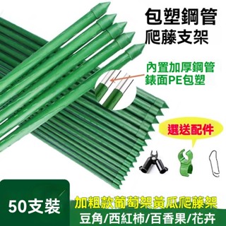 花架爬藤支架桿 種菜架子黃瓜架 葡萄架 番茄爬架 花盆支柱包塑鋼管爬藤架