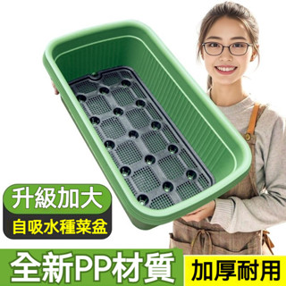 【免澆水神器】加大款自吸水種植箱 家庭陽臺種菜盆 懶人儲水式盆栽 加厚環保塑料箱 自動蓄水花盆
