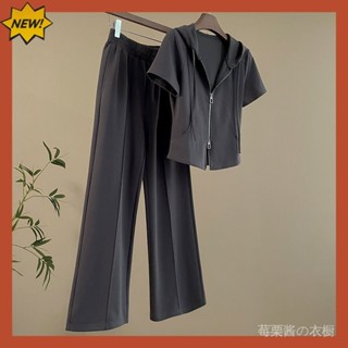 [莓慄醬]歐美風氣質休閒運動套裝女 四色可選 2025新款女裝 顯瘦套裝 氣質套裝 開衫短袖上衣闊腿褲
