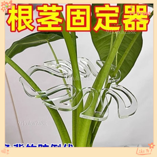 限時折扣💕龜背竹支撐桿花支撐架枝幹收攏架植物防倒伏支架綠植固定神器花架 花支撐架 枝幹收攏架 植物防倒伏支架