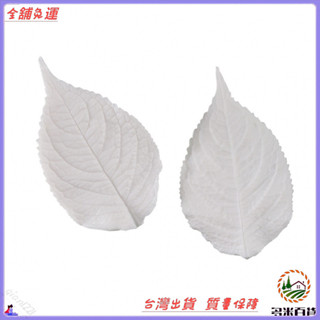 ✨免運特價✨翻糖模具 模擬通用樹葉雙麵壓模 翻糖蛋糕矽膠模具 傢庭烘焙工具
