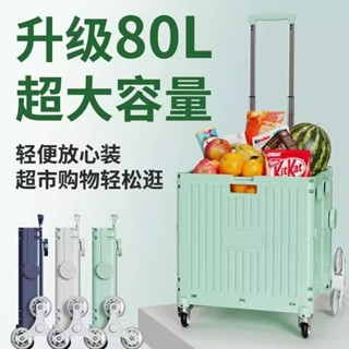 ✨臺灣熱賣✨買菜小推車 購物小推車 菜籃子車 行李購物車 買菜車 菜籃車 買菜拖車 購物拖車 菜市場車 拖車 行李車