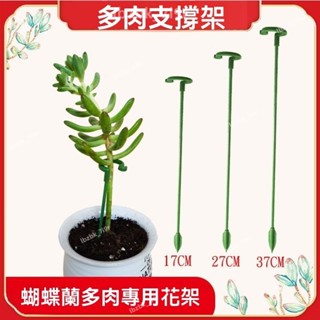 可開票🔥 多肉支撐支架桿 花架支架 鐵絲支撐棒 植物支撐架 園藝支架 盆栽支架 植物支架 植物支撐桿 植物花架