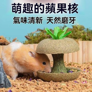 【臺灣出貨】多功能倉鼠磨牙蘋果核營養增肥長肉耐磨金絲熊磨牙可食用荷蘭豬零食擺件