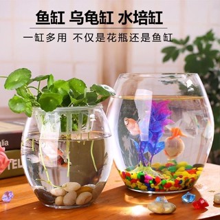 臺🎀灣現 魚缸造景 魚缸 透明玻璃魚缸 小型金魚缸 孔雀缸 水草缸 金魚缸 家用造景圓形小魚缸 客廳辦公桌迷你炮彈缸