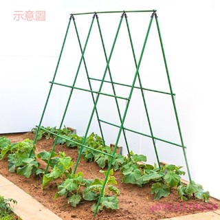 含發票 葡萄架子 花架 黃瓜爬藤架 豆角架桿 西紅柿架 種菜蔬菜搭棚子架 植物支撐桿包塑鋼管