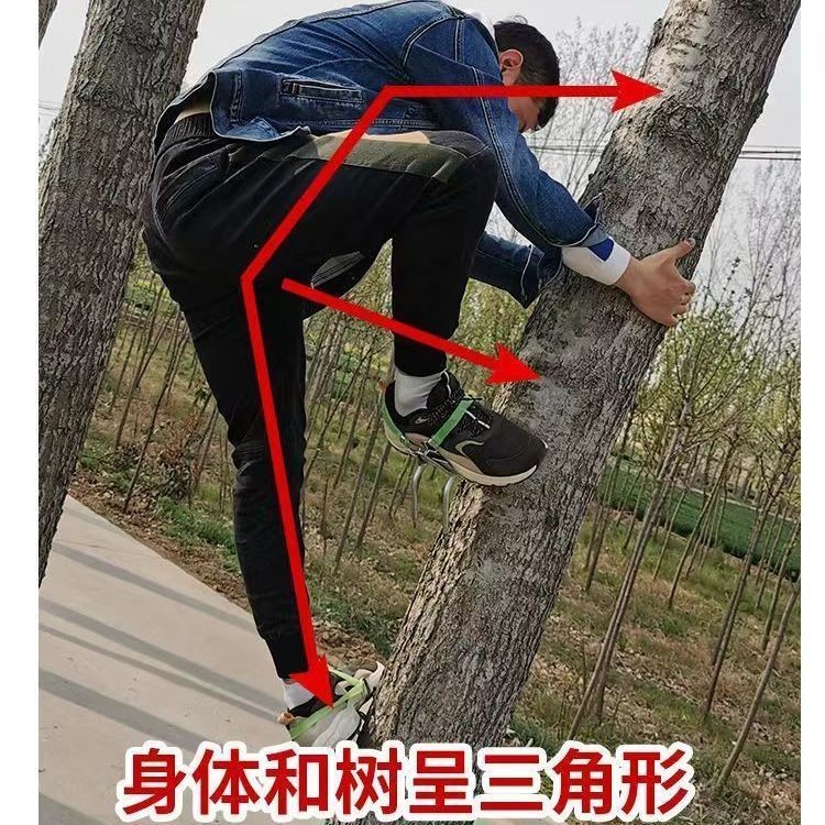 貓爪爬樹腳扎子防滑上樹神器專用鐵鞋摘檳郎採松子摘椰子爬樹工具