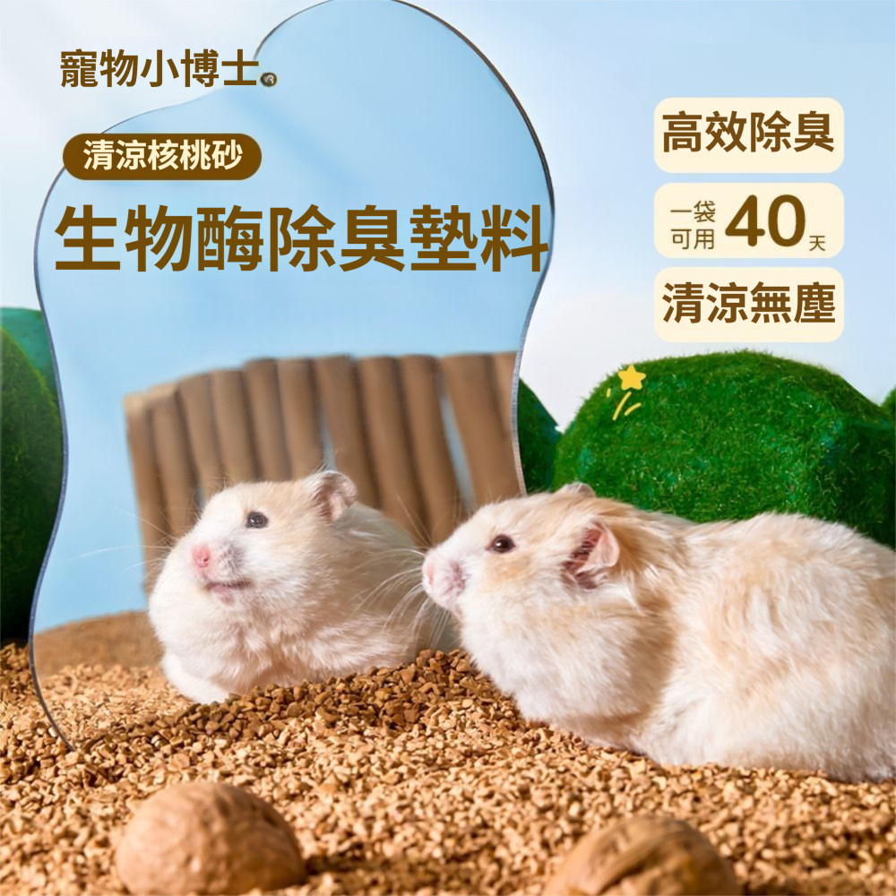 🐾隔日到貨✨ 核桃沙 倉鼠核桃砂 天然核桃砂 倉鼠墊料 核桃砂 核桃沙墊料 倉鼠核桃沙 核桃砂墊料 倉鼠用品 倉鼠除臭