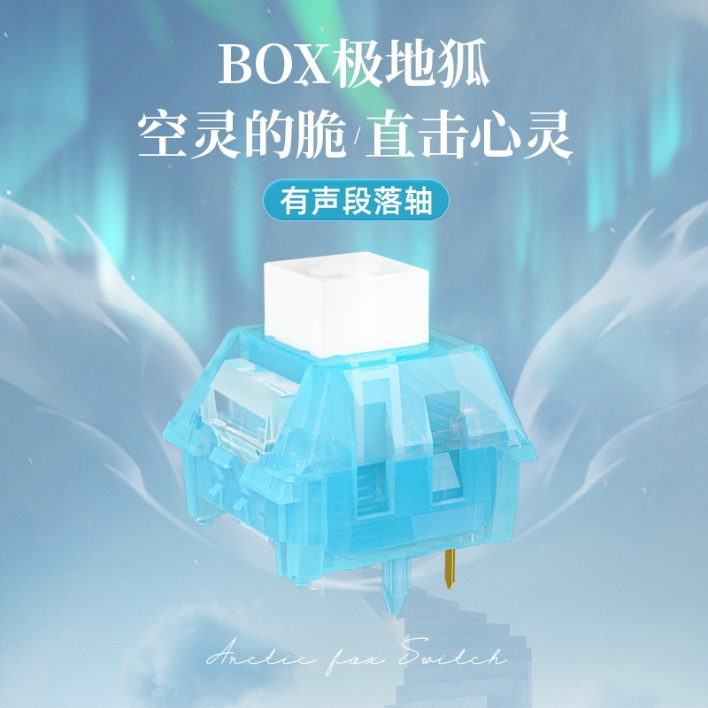 [軸體]KAILH凱華BOX極地狐軸客製化機械鍵盤軸體段落有聲五腳碼字凱華Kailh鍵盤軸體送拔軸器 EBWL