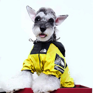 【高檔】現貨寵物狗狗衣服衝鋒衣防雨金毛柴犬雪納瑞泰迪大小型犬防水雨衣薄款