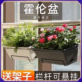 【臺灣出貨】欄杆懸掛花盆 長方形花盆 種菜盆 長條陽臺 種菜神器 塑料盆 霍倫盆架子