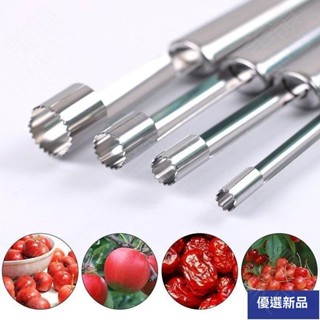 🔥大促特惠🔥【四支裝】不銹鋼山楂去核器紅棗去籽器蘋果梨水果取芯工具方便器 PQ1J