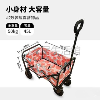 心家居生活館 可開統編 折疊小推車 實用 輕便 補差價