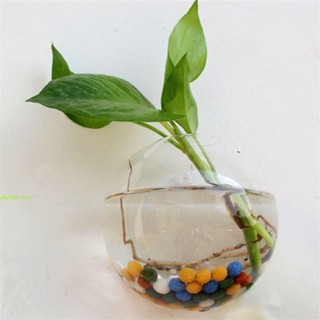 DELMER壁掛式花瓶,魚缸微型景觀生態瓶花盆,玻璃工藝品透明植物容器半圓形插花瓶植物花卉