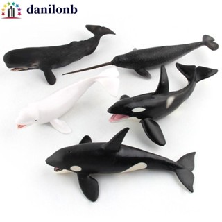 DANILO海洋動物模型,模擬海洋動物鯨魚公仔,創意教育類抹香鯨實心PVC海洋生物人物家居裝飾