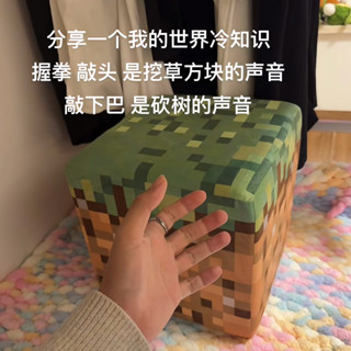 【臺灣出貨】我的世界方塊玩偶抱枕 遊戲 周邊海綿方塊 箱子TNT 毛絨玩具 坐墊靠枕 有趣枕頭