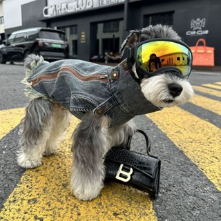 限時 優惠 現貨 爆款 狗狗 衣服 牛仔 雪納瑞 比熊 泰迪 柴犬 西高地 寵物 外套
