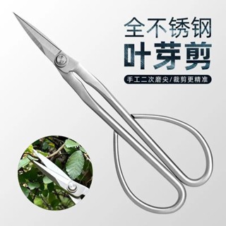 「優匠五金」全不鏽鋼園藝剪 葉芽剪 嫩芽剪刀 插花盆景枝葉剪 修枝小枝剪 加厚長杆