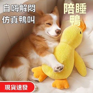 【店鋪熱銷】狗狗玩具 解悶神器 寵物小狗 毛絨發聲 大狗 幼犬 柯基 大型犬 磨牙用品 寵物玩具