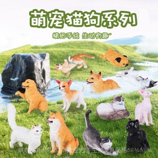 [今日現貨 特價][恐龍玩具][動物][動物模型][男童]兒童模擬動物模型布偶貓迷你小貓咪玩具裝飾禮物