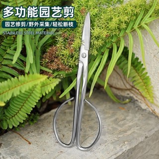 【購滿99出貨】【高效修剪】強力全不鏽鋼園藝剪葉芽剪嫩芽剪刀插花盆景枝葉剪修枝小枝剪加厚