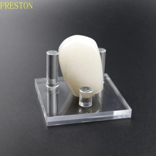 PRESTONWV顯示器支架,清除三個Peg顯示畫架支架,家居用品亞克力小多用途珊瑚架珠寶道具