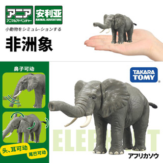 【925HOT】TOMYTOMICA安利亞模擬動物模型野生動物非洲大象認知玩具男919377合金壓鑄模型diecast