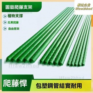 🏠免運~限時超低價👍園藝花支架 花架爬藤架 庭院葡萄架子 豆角黃瓜架 包塑鋼管植物支撐桿 支架 爬藤架 拼接花架 可