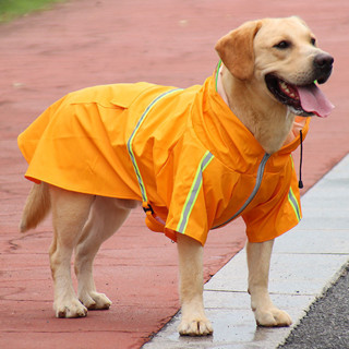 狗狗雨衣寵物大狗防水雨披柯基泰迪雪納瑞中小型犬兩腳春夏狗衣服