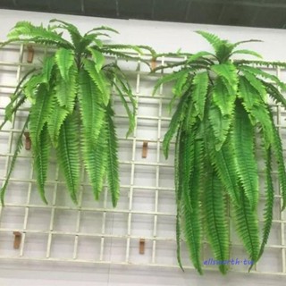 ELLSWORTH波斯葉,藤條塑膠蕨類植物,簡單大壁掛人工蕨類植物購物中心