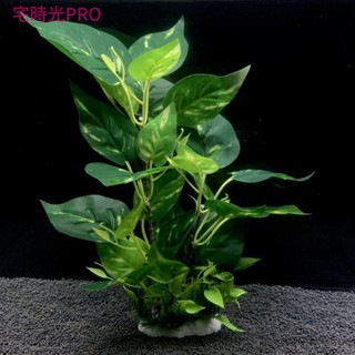 【宅時光PRO家居館】魚缸烏龜缸佈景 假植物 模擬水草 大葉榕 桔色假花 塑膠花草 居傢裝飾 擺件