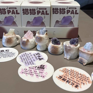 貓貓 PAI 水晶盲盒 可愛動物 手辦 玩具 辦公桌 小擺件 解壓神器 貓 樹脂模型 公仔 套裝 居家 裝飾品 女友 生