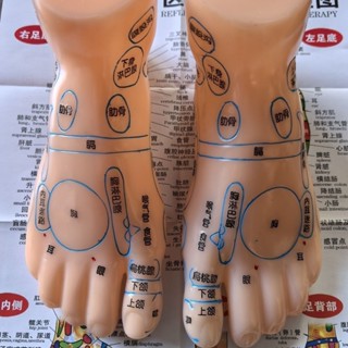 暢銷足模型腳模型腳底腳部穴位按摩足部反射區刻字足療圖腳丫足底模具